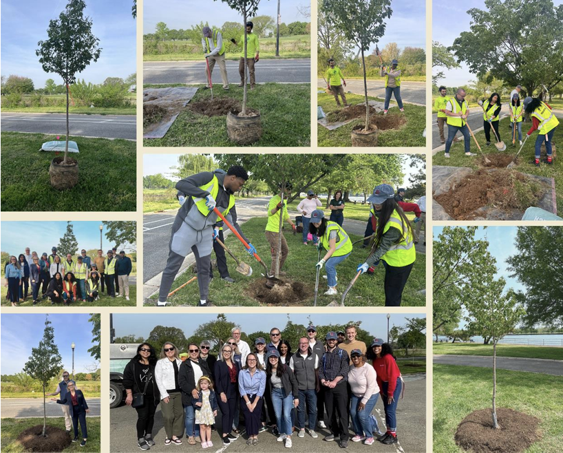 Callahan & Associates Marks 40 Years With Cherry Tree Dedication At Hains Point
